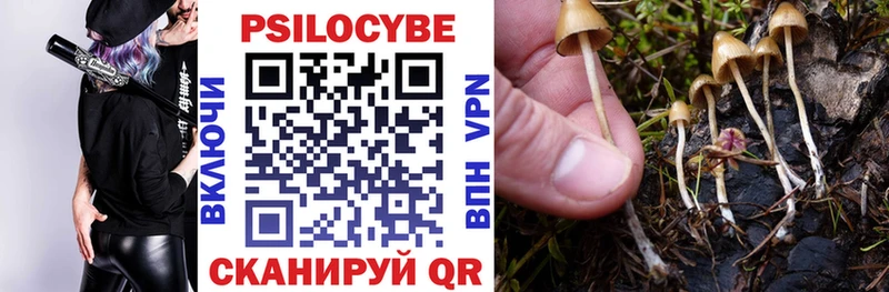 Галлюциногенные грибы мухоморы закладка Кингисепп