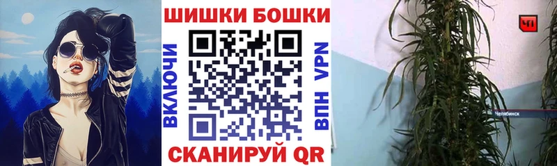 купить   Кингисепп  Марихуана сатива 